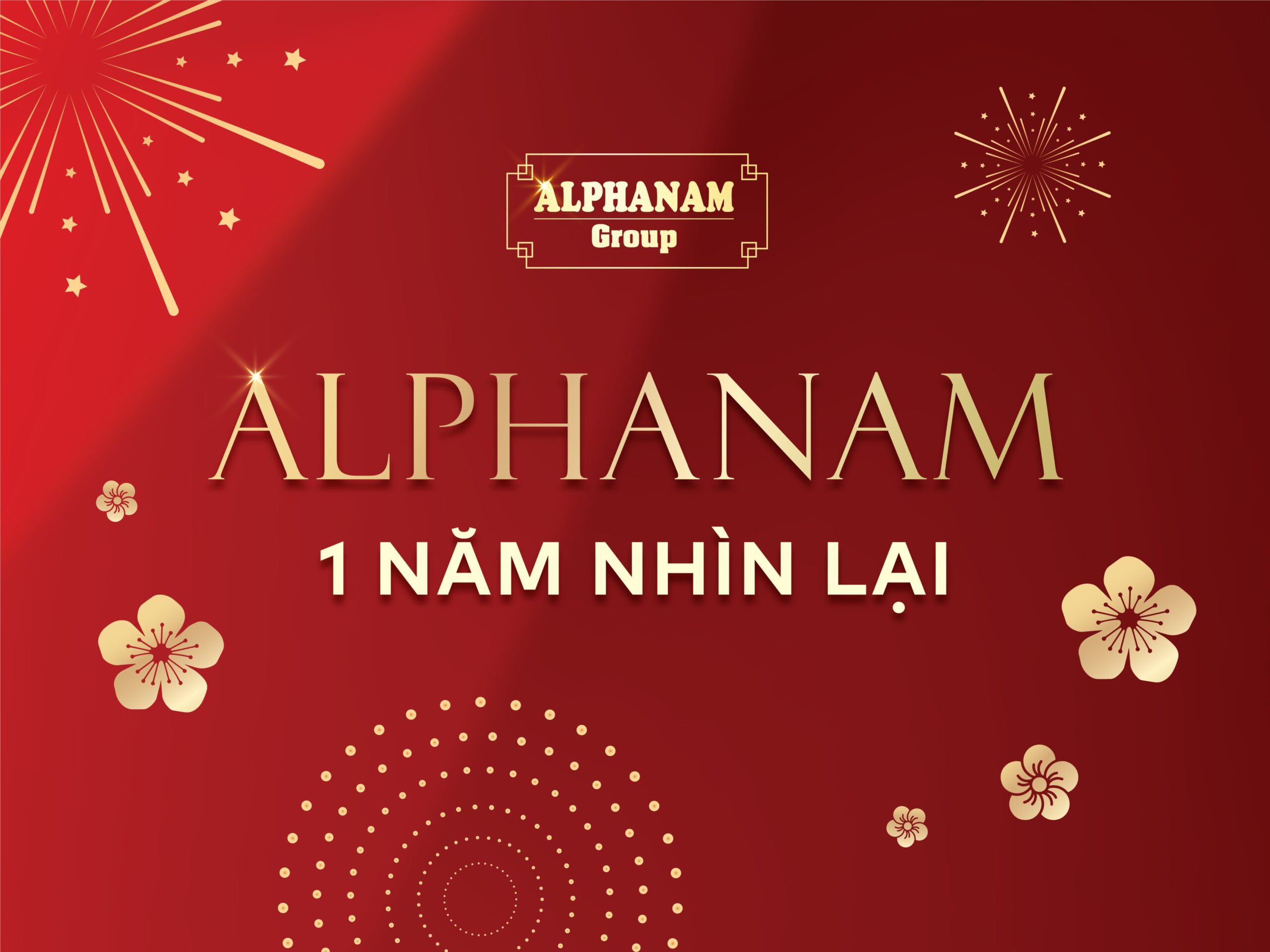 Read more about the article ALPHANAM 1 NĂM NHÌN LẠI