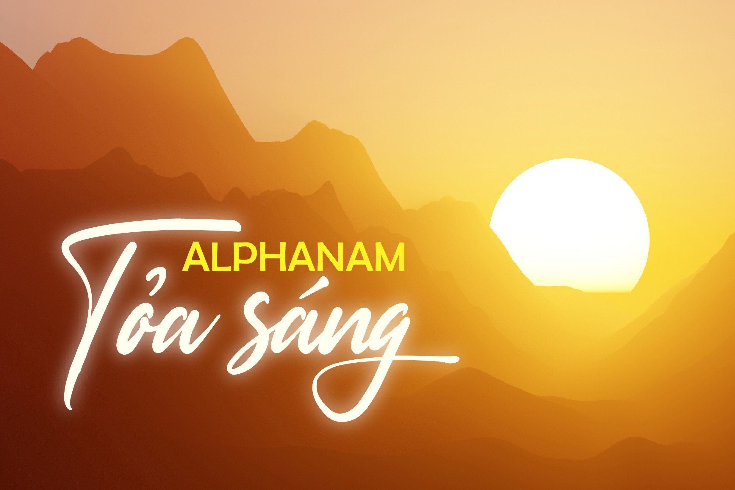 Read more about the article NO. 62: ALPHANAM TỎA SÁNG